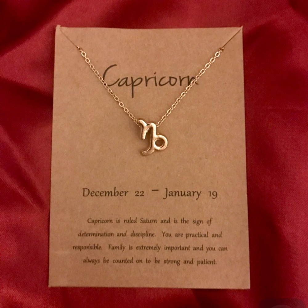 Capricorn Charm Minimalist Boho Dainty Necklace - Picture 5 of 9